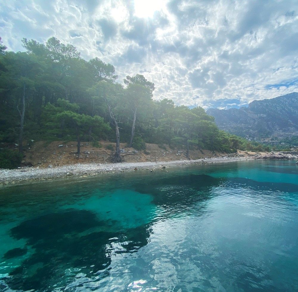 Photograph by Елена Осипова