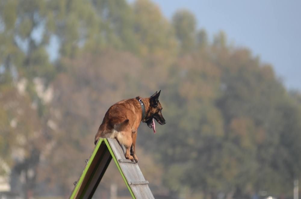 Photograph by Алиса Пономаренко