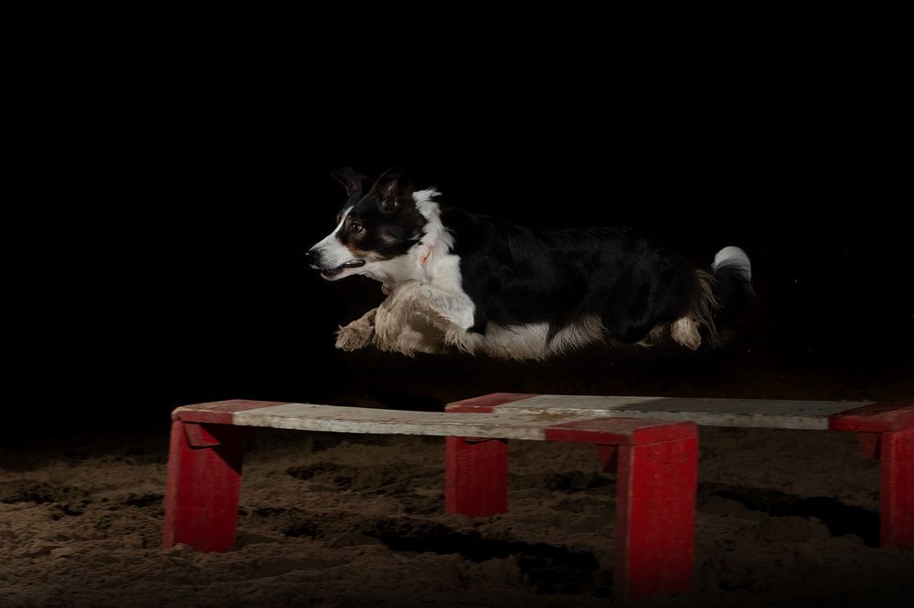 Photograph by Ольга Легенькая