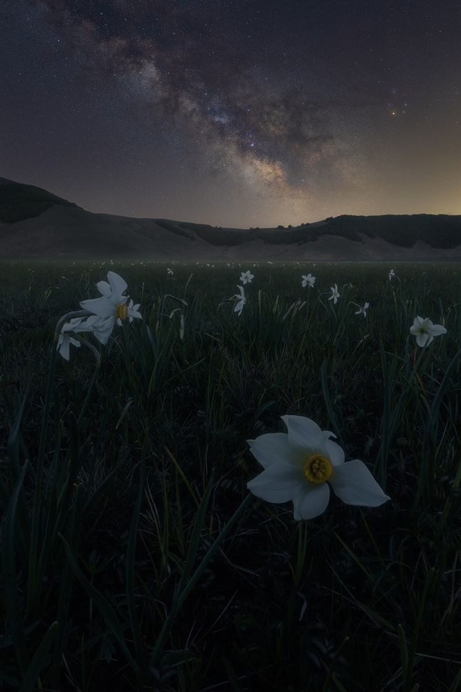 Photograph by Mario Marini