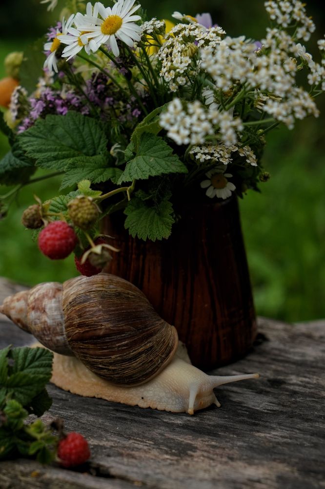 Photograph by Маргарита Булатова