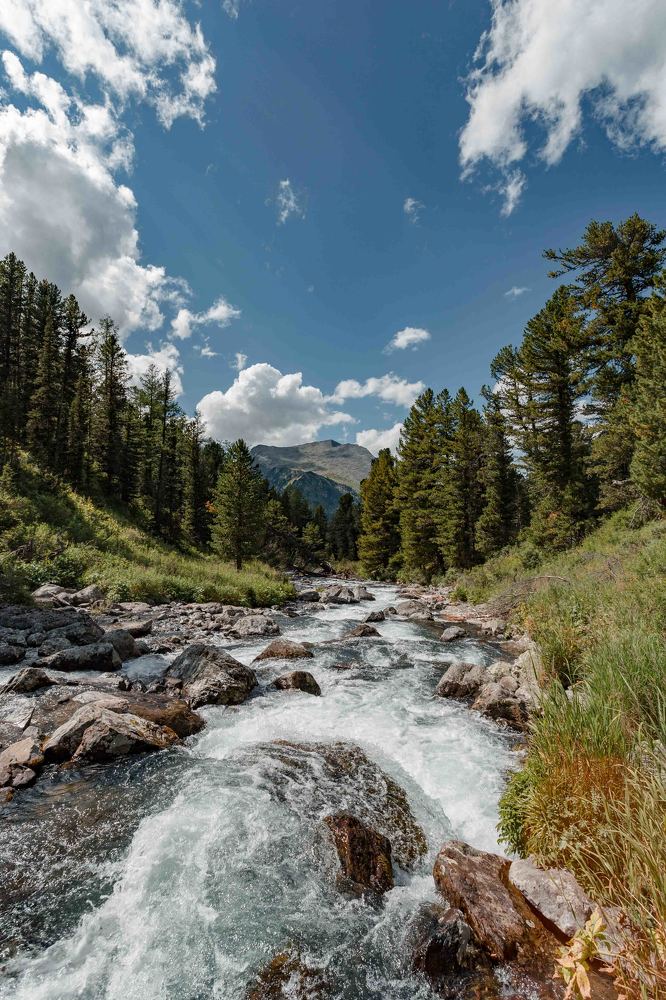 Photograph by Ксения Гасица