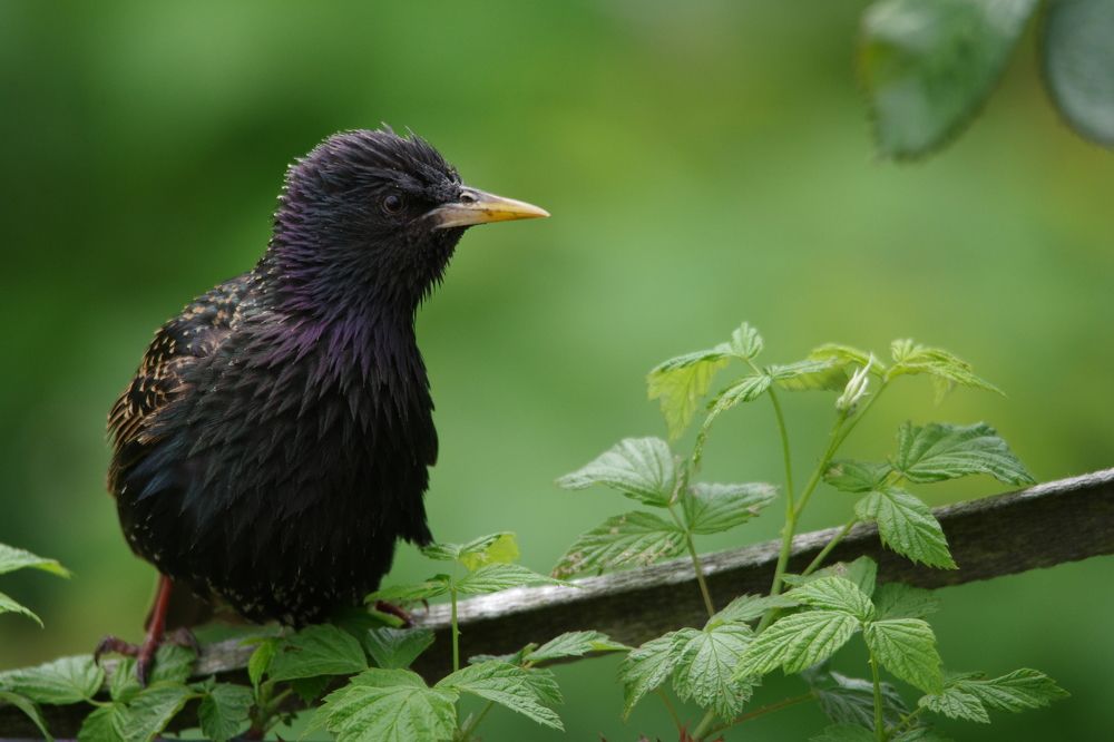 Photograph by Bartosz Adamowski