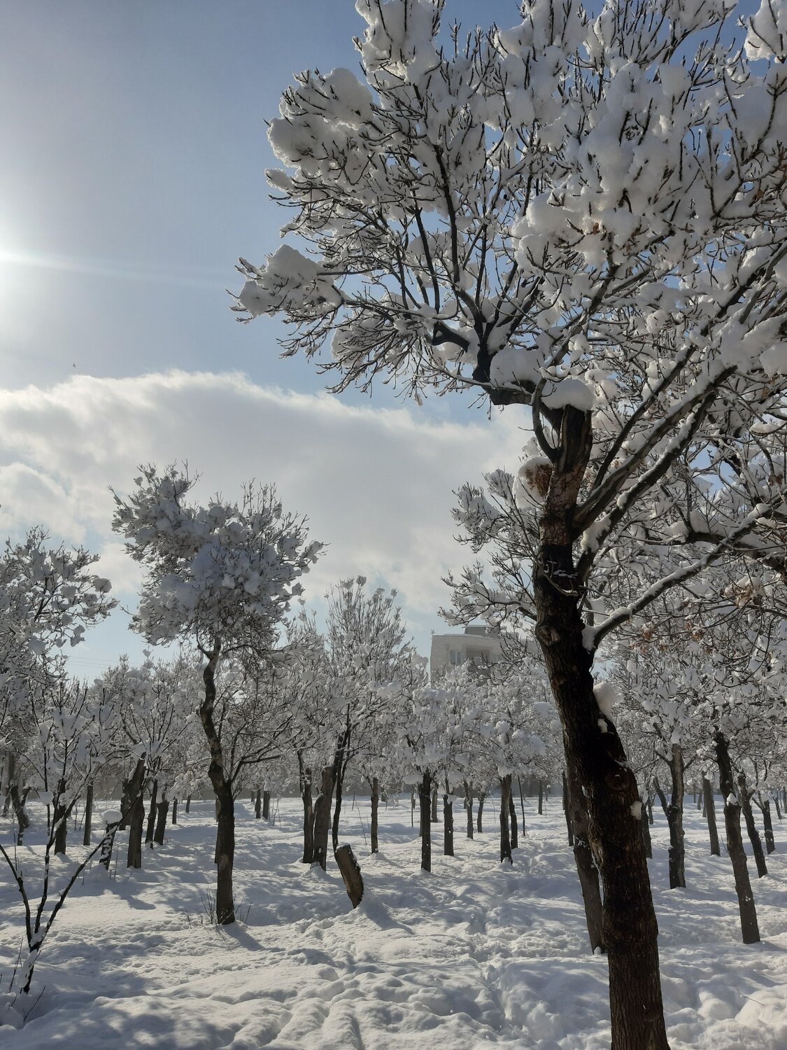 Photo #8950303