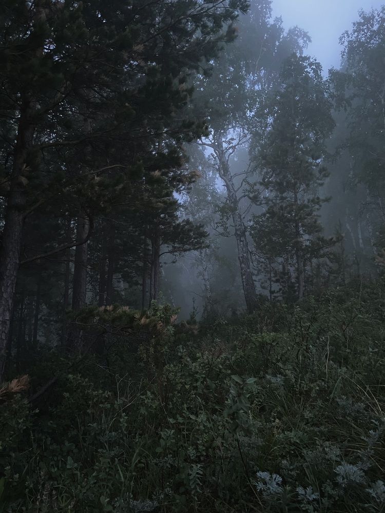 Photograph by Анастасия Майорова