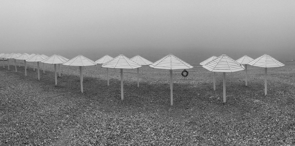 Photograph by Дмитрий Фисенко