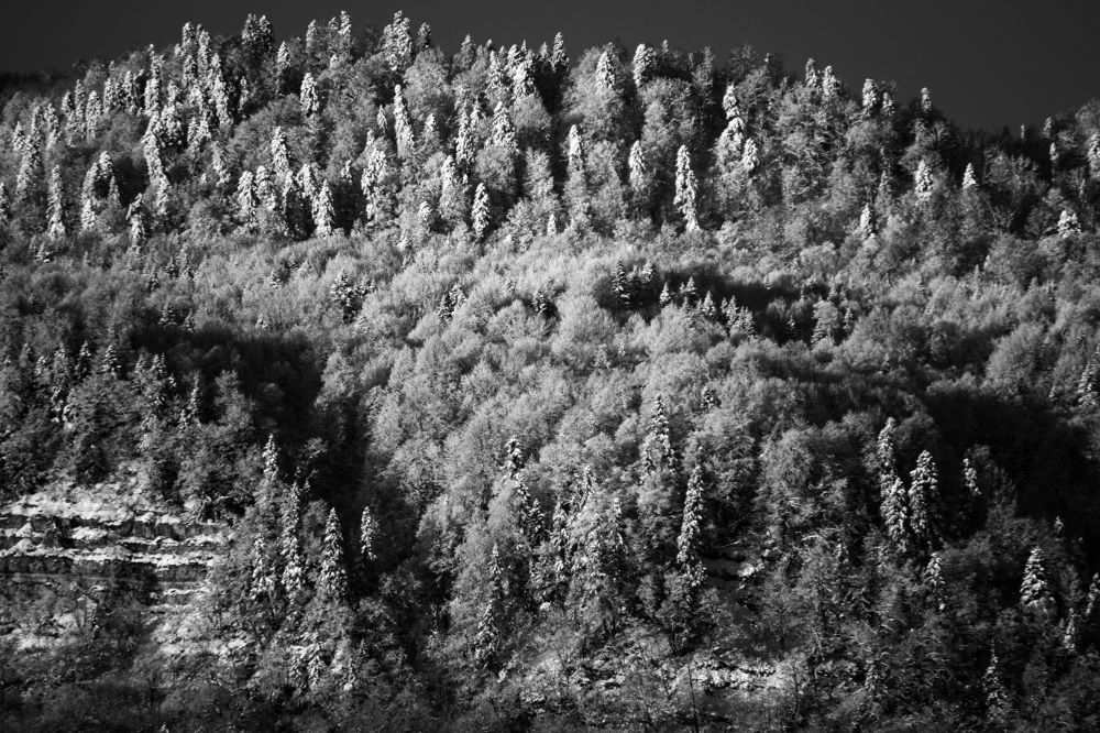 Photograph by Татьяна Ключникова