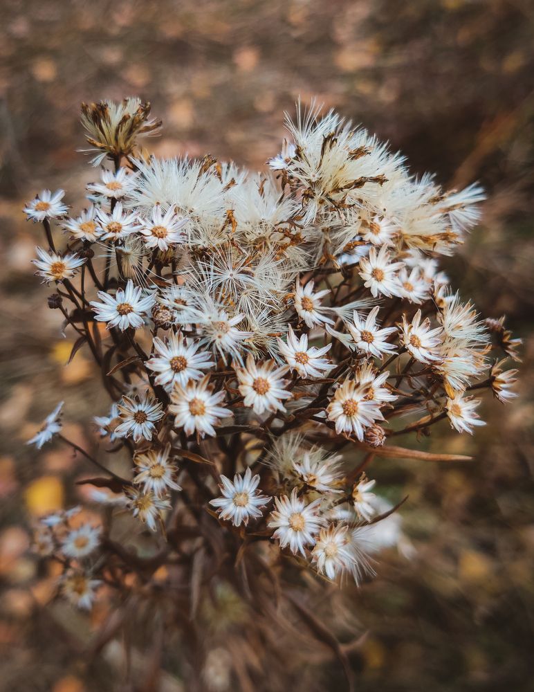 Photograph by Ольга Тюрина