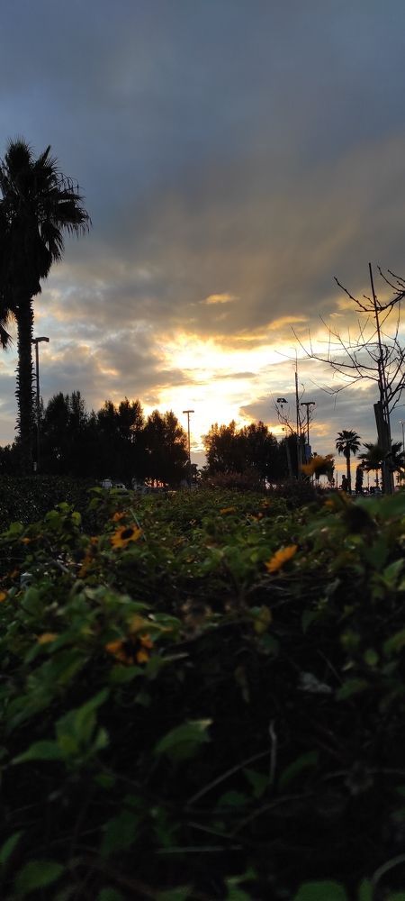 Photograph by Елена Ямушева