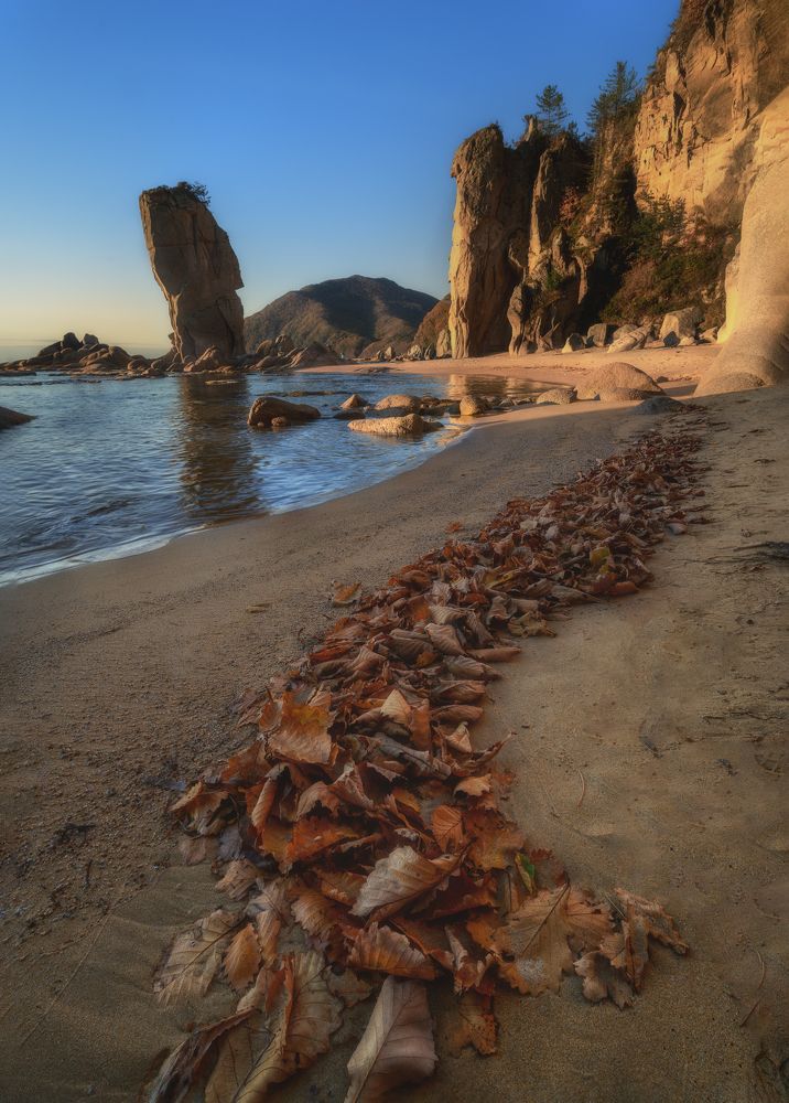 Photograph by Varvara Saprykina