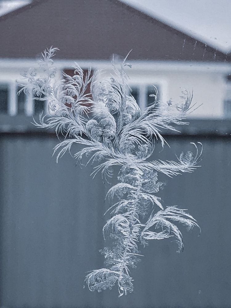 Мороз-художник