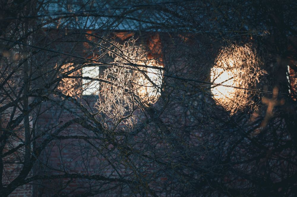 Photograph by Андрей