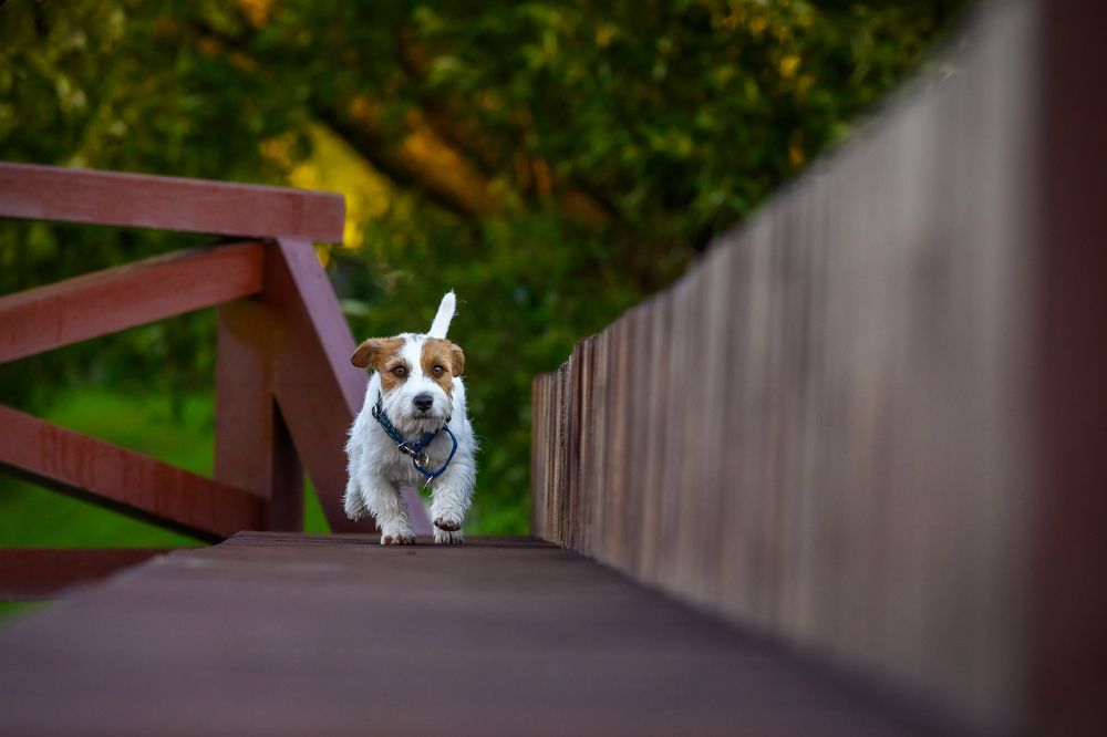 Photograph by Мария Новоселецкая