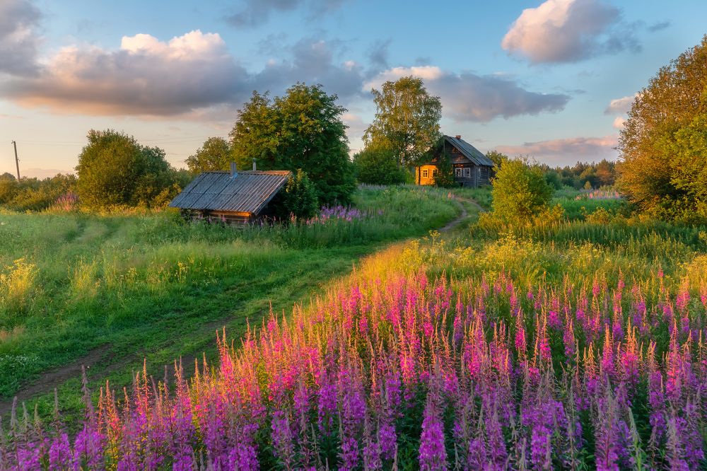 Уголок тепла и света.