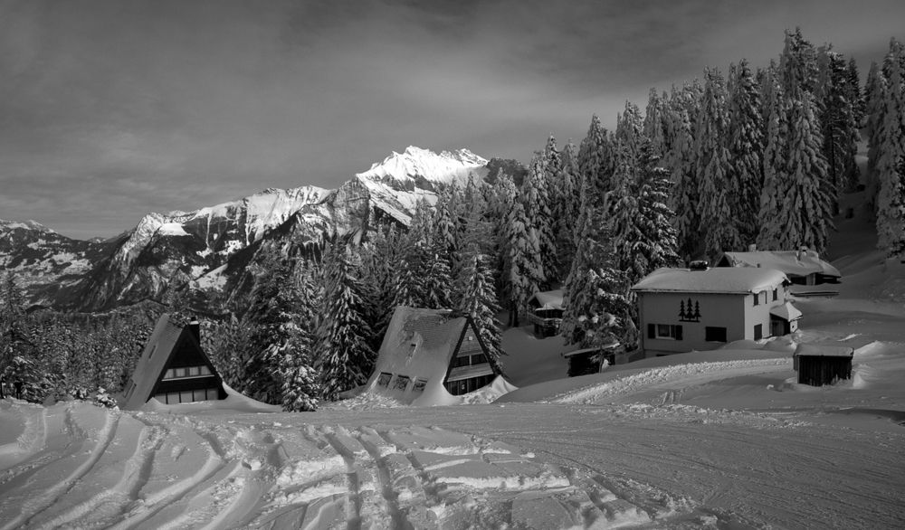 Photograph by Mariia Muratova