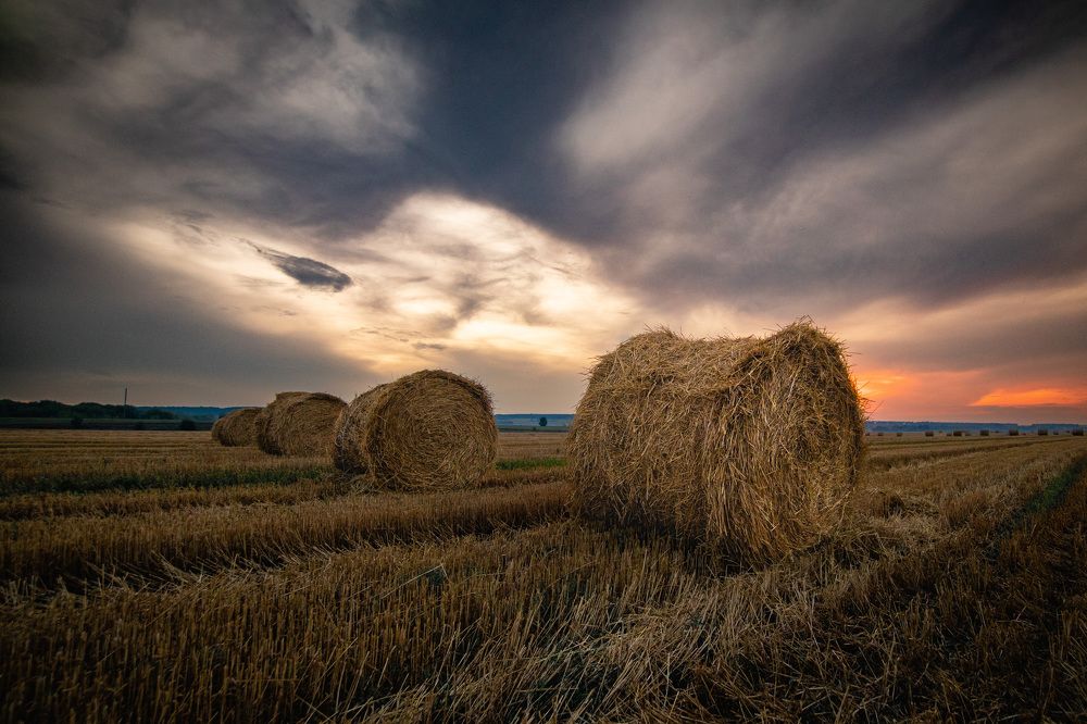 Photograph by Иван Мосьянов