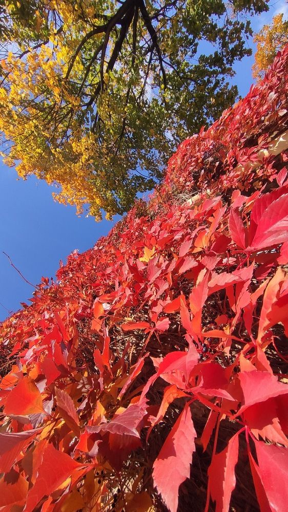 Photograph by Виктория Голубь