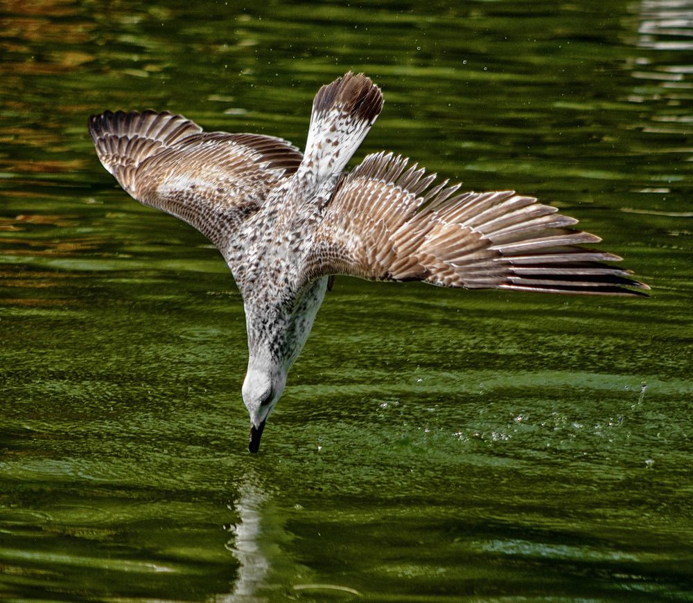 Photograph by Bekir Yesiltas