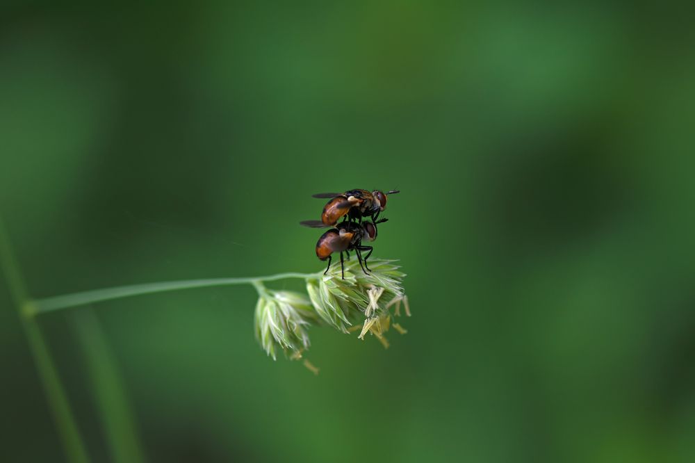 Photograph by Bilyana Dyankova