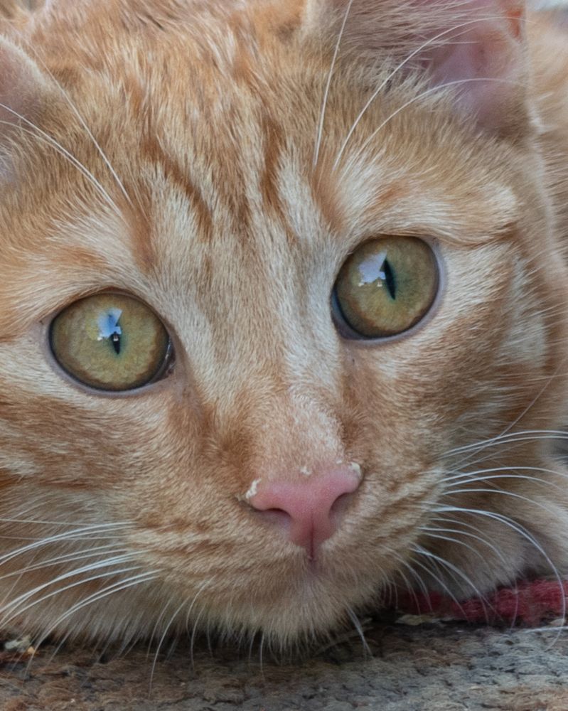 Photograph by Ирина Нурбаева