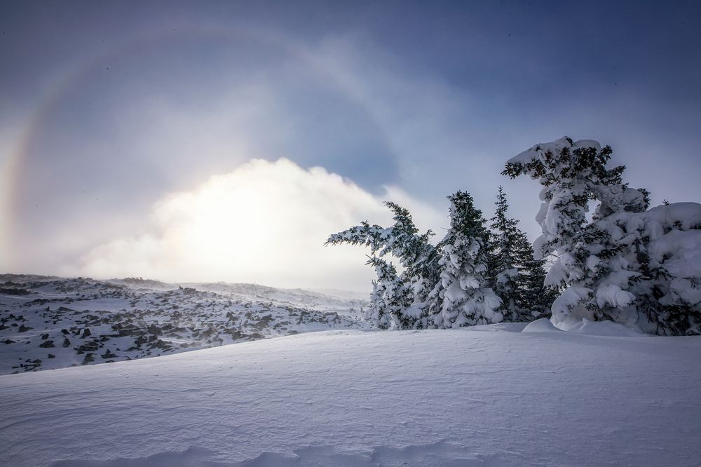 Photograph by Станислав Аристов