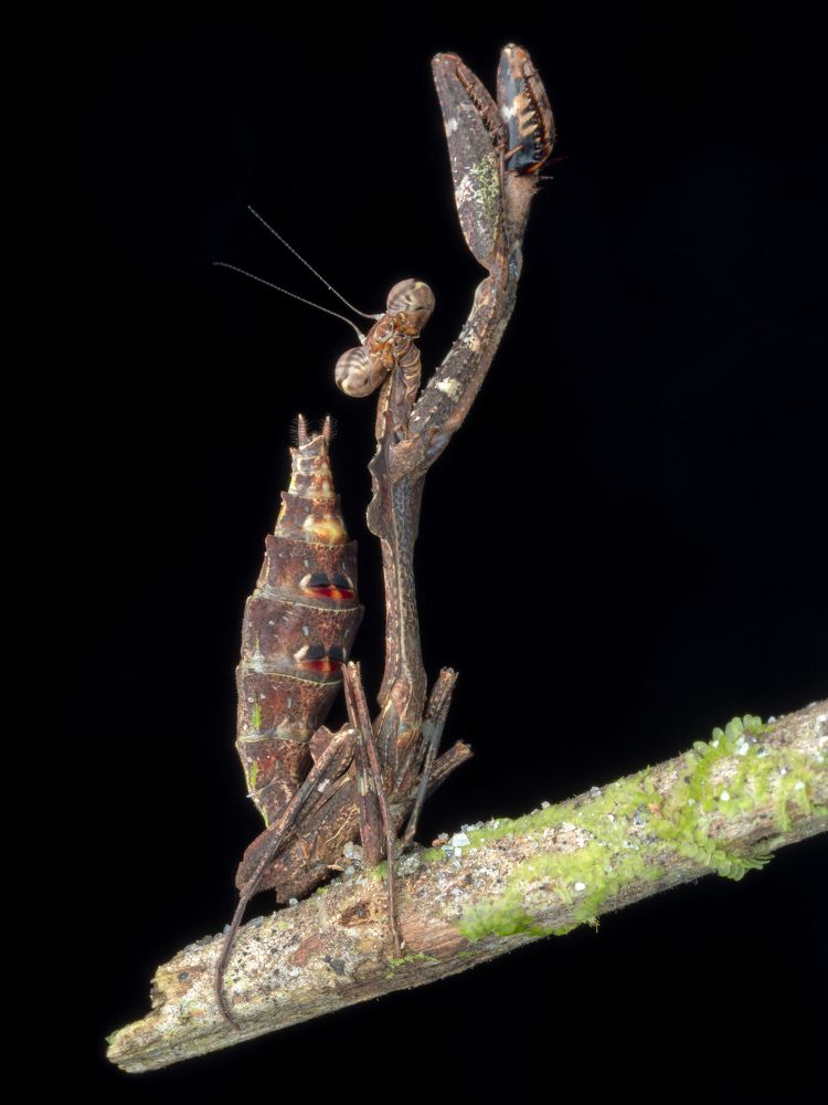 Photograph by KENNY FOONG