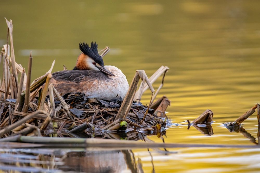 Фотография автора Дронов Константин