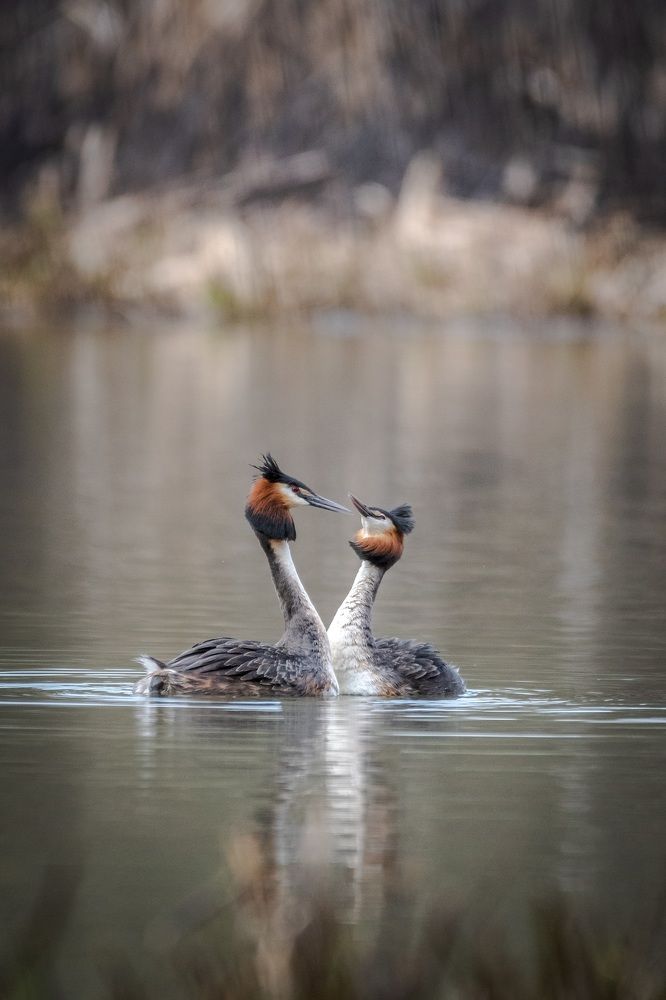 Фотография автора Дронов Константин