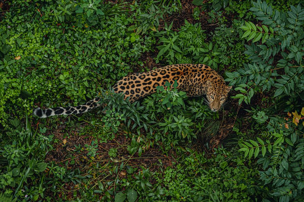 Фотография автора Александр Миронов