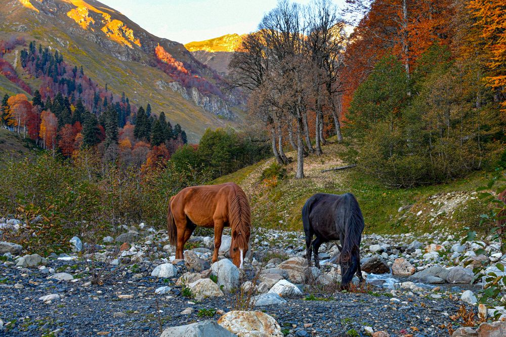 Вечерняя прогулка на закате.