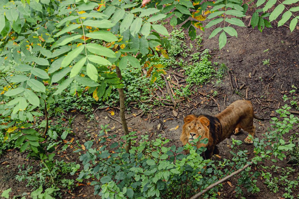 Фотография автора Александр Миронов