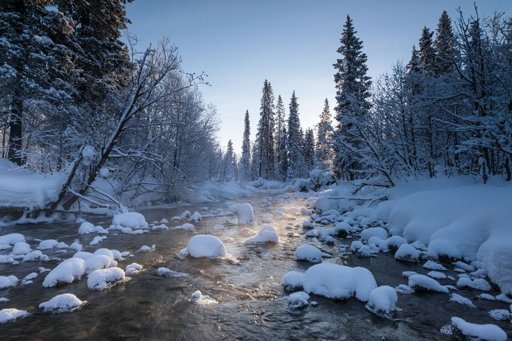 Photograph by Мария Казакова