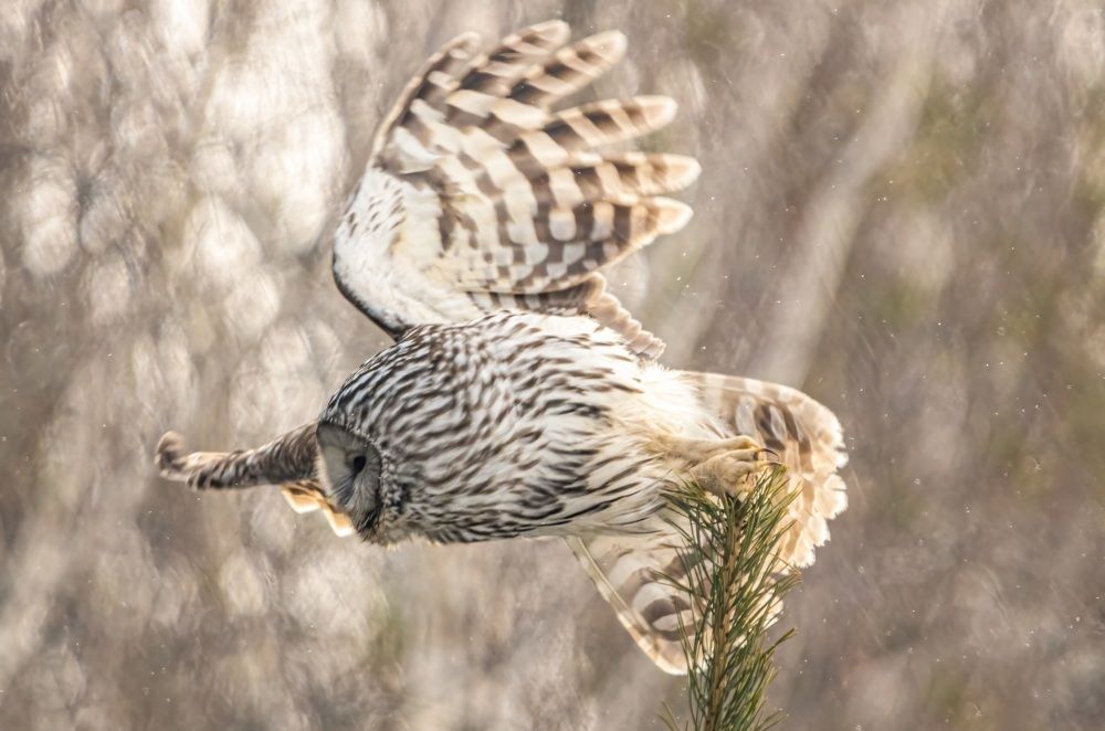 Photograph by Сергей