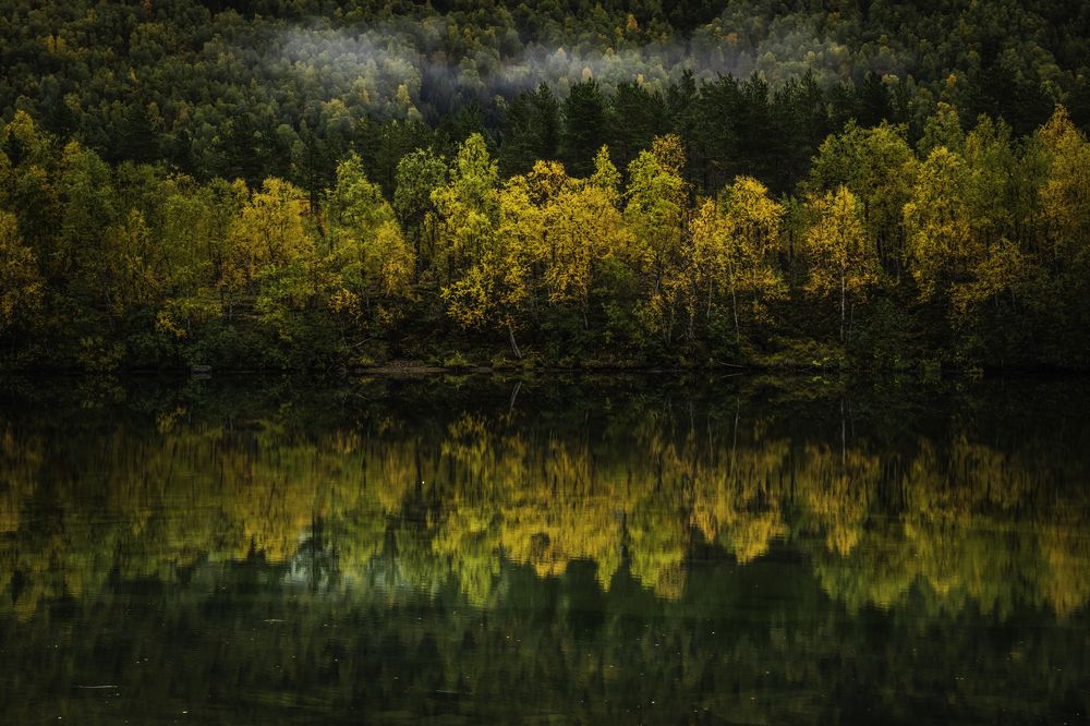 Фотография автора Katrin Lillenthal