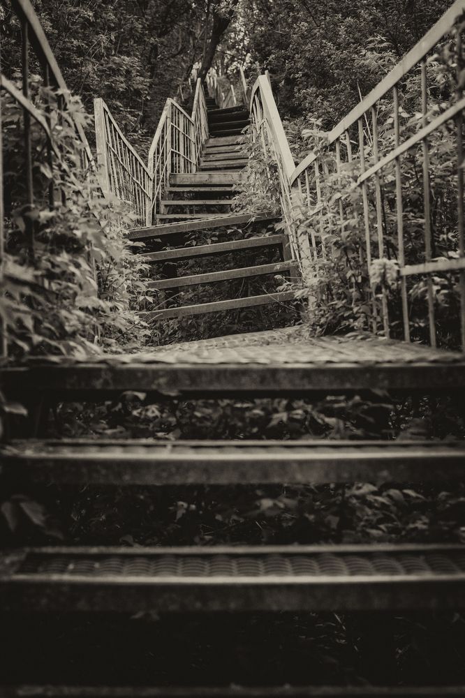 Photograph by Владимир Зеленский