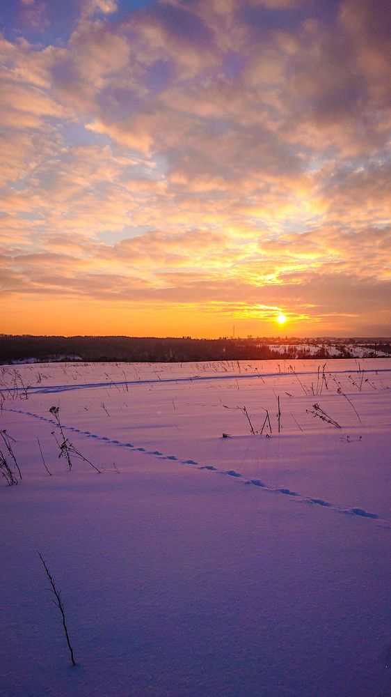 Фотография автора Елена Ку