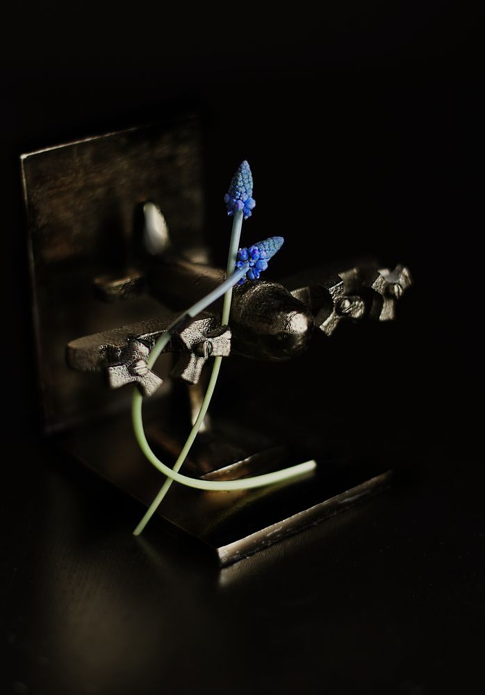 Photograph by Marina Novak