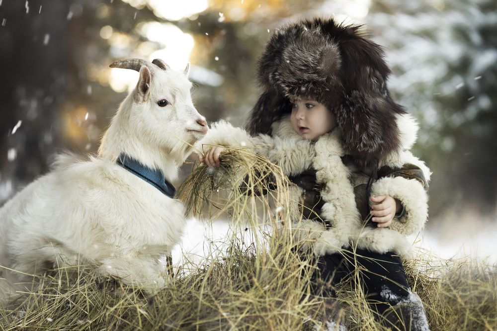 Фотография автора Мария Бородулина