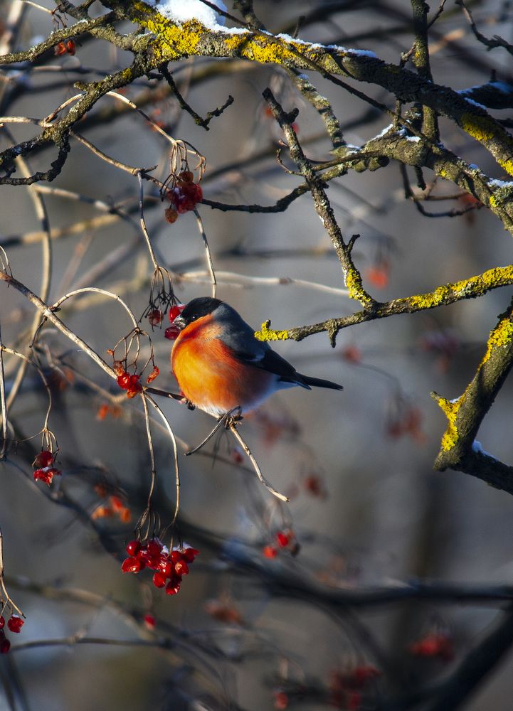 Photograph by Татьяна Ключникова