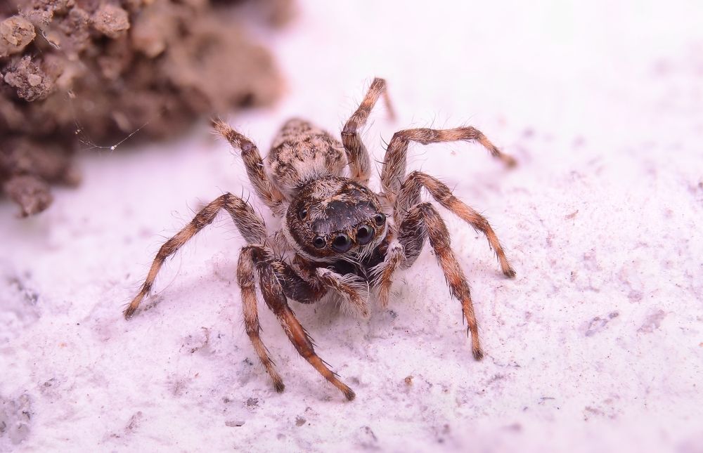 Photograph by Kasun Wickramasinghe