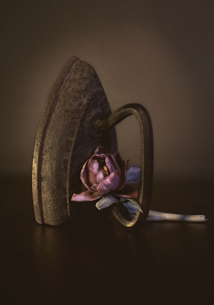Photograph by Marina Novak