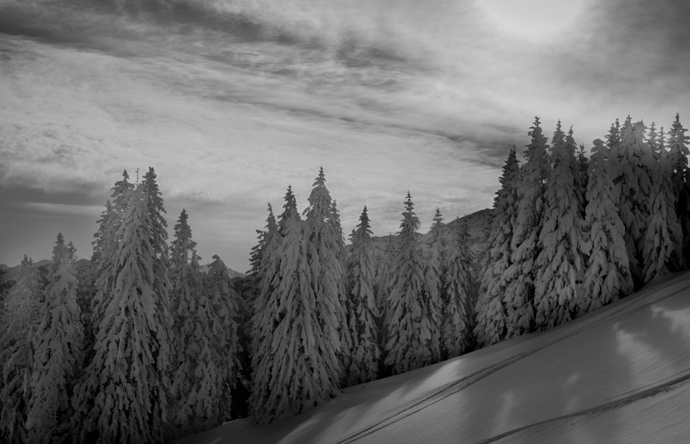 Photograph by Mariia Muratova