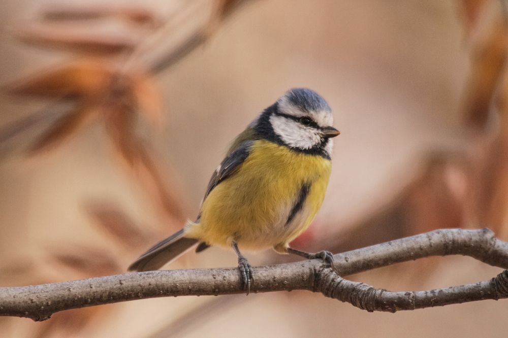 Photograph by Елизавета Цемко