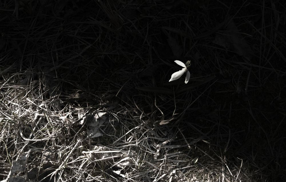 Photograph by Николай Алексеев