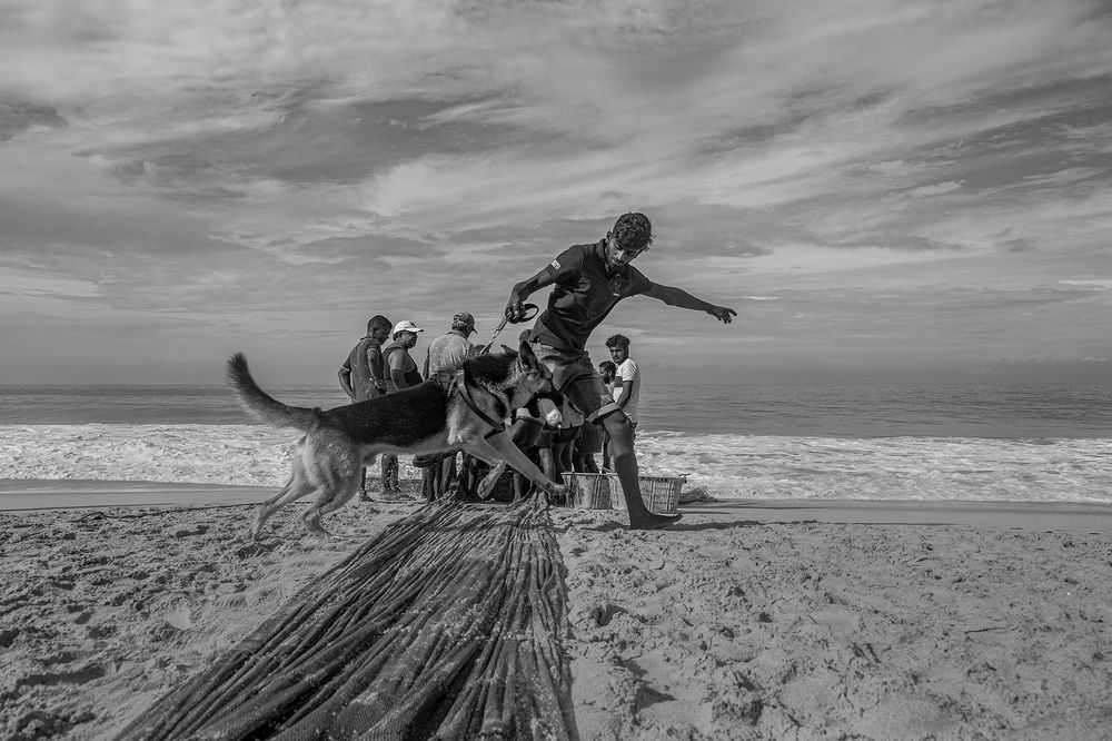 Фотография автора Laddu Sasindu Pramuditha De Silva