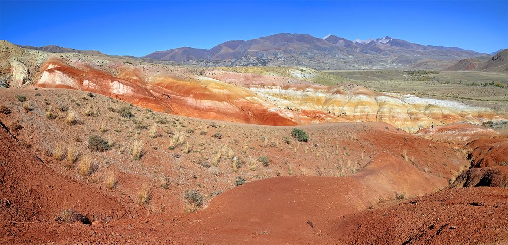 Есть ли жизнь на Марсе...?