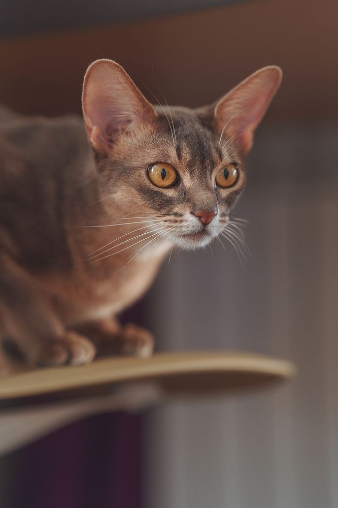 Photograph by Татьяна Предеина