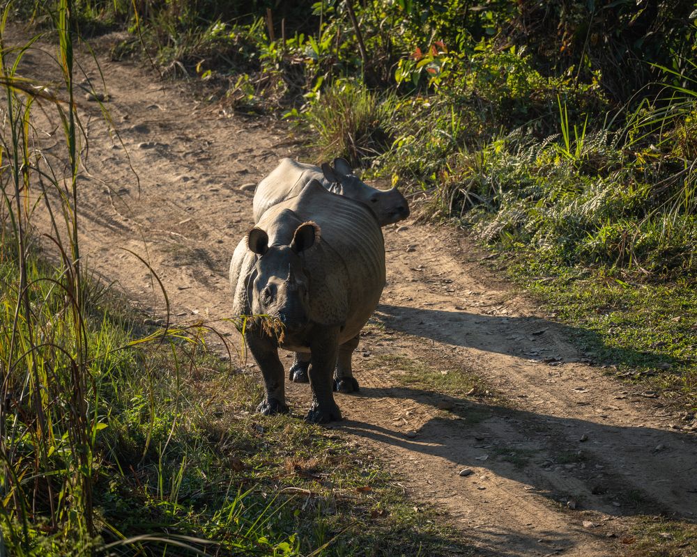 Photograph by Баландин Дмитрий