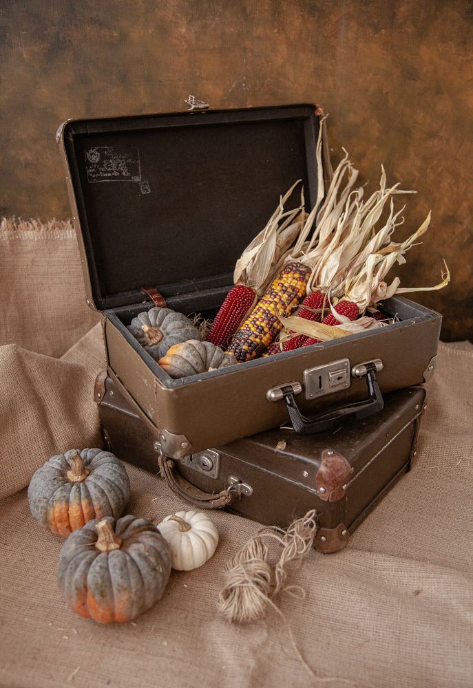 Photograph by Светлана Кавказская