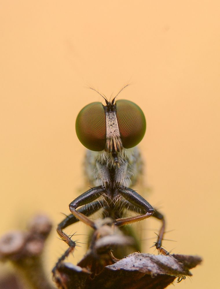 Photograph by Kasun Wickramasinghe